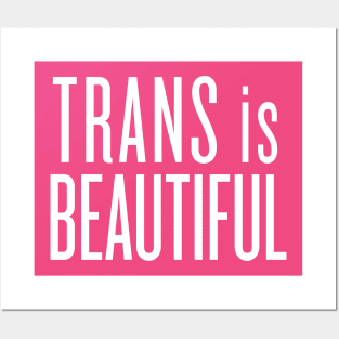 Trans Is Beautiful Posters and Art